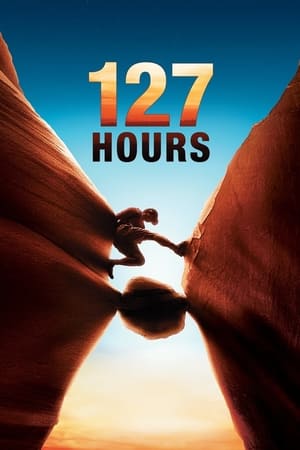 127 Hours (2010) Hindi Dual Audio 720p BluRay [950MB] HD Poster Download - Filmy4waps