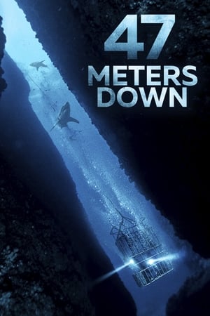 47 Metres Down (2017) Hindi Dual Audio 720p BluRay [850MB] HD Poster Download - Filmy4waps