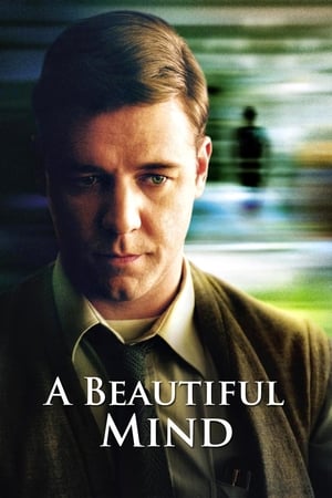 A Beautiful Mind 2001 Hindi Dual Audio 720p BluRay [1.2GB] HD Poster Download - Filmy4waps