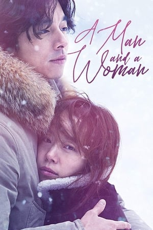 A Man and A Woman (2016) Hindi Dual Audio 480p BluRay 400MB HD Poster Download - Filmy4waps