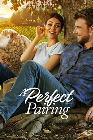 A Perfect Pairing (2022) Hindi Dual Audio HDRip 720p – 480p HD Poster Download - Filmy4waps