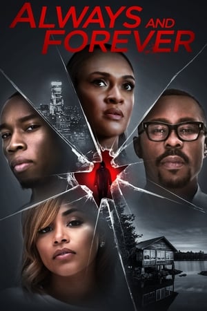 Always and Forever 2020 Hindi Dual Audio 720p BluRay [1.1GB] HD Poster Download - Filmy4waps