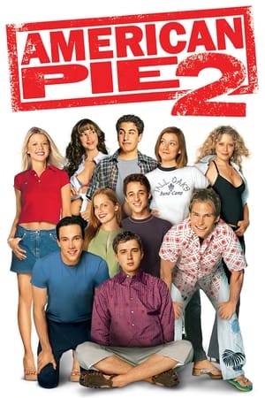 American Pie 2 (2001) Hindi Dual Audio 480p BluRay 375MB HD Poster Download - Filmy4waps