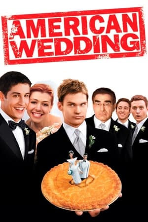 American Wedding (2003) Hindi Dual Audio 480p BluRay 300MB HD Poster Download - Filmy4waps