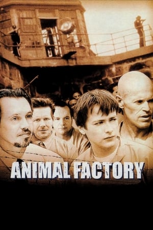 Animal Factory (2000) Hindi Dual Audio 720p BluRay [950MB] HD Poster Download - Filmy4waps