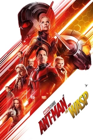 Ant-Man and the Wasp 2018 Movie (English) 720p HDCAM [900MB] HD Poster Download - Filmy4waps
