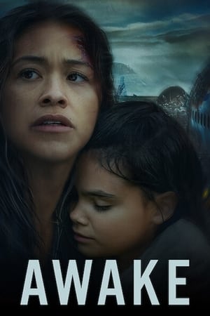 Awake (2021) Hindi Dual Audio 720p Web-DL [880MB] HD Poster Download - Filmy4waps
