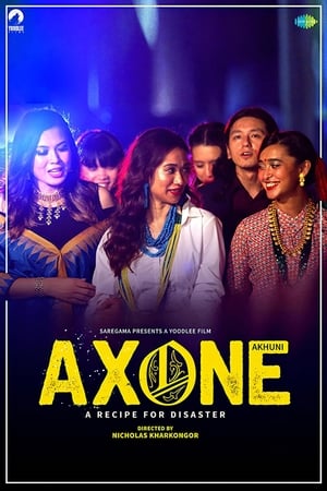Axone 2019 Hindi Movie 480p HDRip – [300MB] HD Poster Download - Filmy4waps