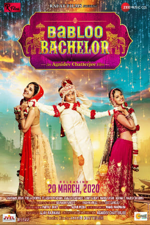 Babloo Bachelor (2021) Hindi Movie HDRip 720p – 480p HD Poster Download - Filmy4waps