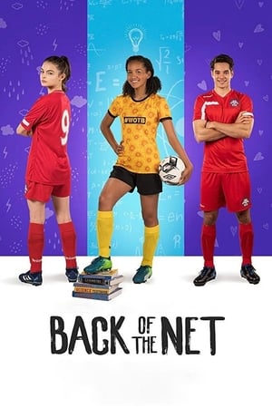 Back of the Net (2019) Hindi Dual Audio 720p Web-DL [800MB] HD Poster Download - Filmy4waps