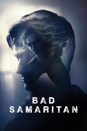 Bad Samaritan (2018) Hindi Dual Audio 480p BluRay 400MB HD Poster Download - Filmy4waps