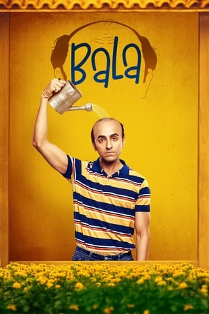 Bala 2019 Hindi Movie 720p HDRip x264 [1GB] HD Poster Download - Filmy4waps