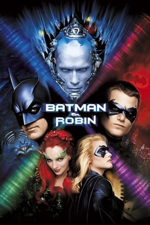 Batman And Robin 1997 Hindi Dual Audio 480p BluRay 400MB HD Poster Download - Filmy4waps