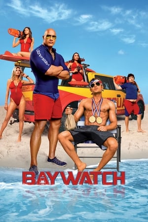 Baywatch 2017 Dual Audio Hindi 480p BluRay ORG 300MB HD Poster Download - Filmy4waps