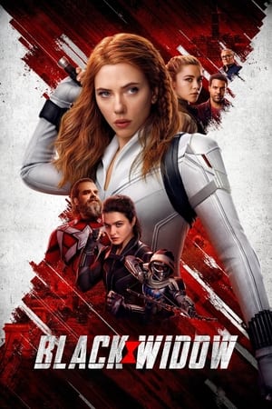 Black Widow (2021) Hindi Dual Audio 720p HDRip [1.2GB] HD Poster Download - Filmy4waps