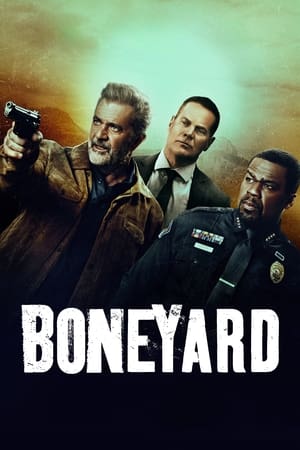 Boneyard 2024 Hindi Dual Audio HDRip 1080p – 720p – 480p HD Poster Download - Filmy4waps