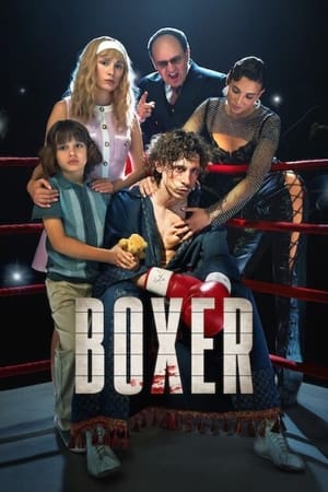Boxer (2024) Hindi Dual Audio HDRip 1080p – 720p – 480p HD Poster Download - Filmy4waps