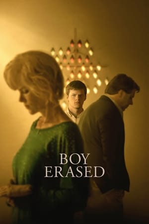 Boy Erased (2018) Hindi Dual Audio 480p BluRay 380MB HD Poster Download - Filmy4waps
