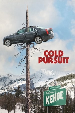 Cold Pursuit (2019) Hindi Dual Audio 720p HDRip [1GB] HD Poster Download - Filmy4waps