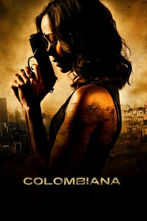 Colombiana (2011) Hindi Dual Audio 720p BluRay [1.1GB] HD Poster Download - Filmy4waps