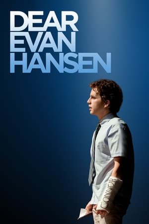 Dear Evan Hansen (2021) Hindi Dual Audio BluRay 720p – 480p HD Poster Download - Filmy4waps