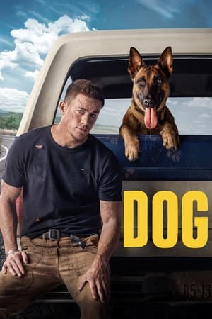 Dog (2022) Hindi Dual Audio HDRip 720p – 480p HD Poster Download - Filmy4waps