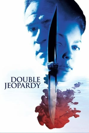 Double Jeopardy 1999 Hindi Dual Audio 720p Web-DL [920MB] HD Poster Download - Filmy4waps