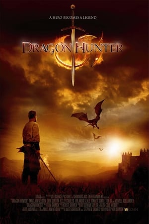 Dragon Hunter (2009) Hindi Dual Audio 720p BluRay [1GB] HD Poster Download - Filmy4waps