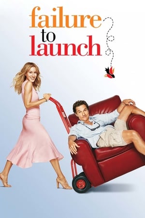 Failure to Launch 2006 Hindi Dual Audio 480p BluRay 300MB HD Poster Download - Filmy4waps