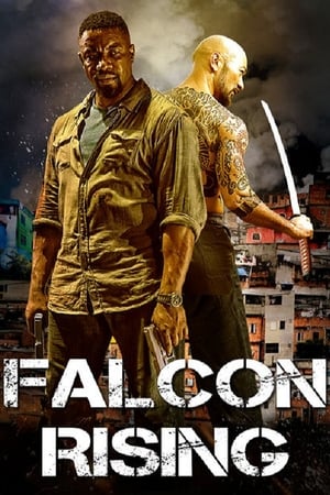 Falcon Rising (2014) Hindi Dual Audio 480p BluRay 300MB HD Poster Download - Filmy4waps