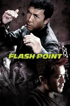 Flash Point (2007) Hindi Dual Audio 720p BluRay [1GB] HD Poster Download - Filmy4waps