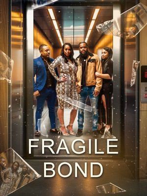 Fragile Bond (2025) WEBRIP Hindi (MULTI AUDIO) 720p – 480p – 1080p