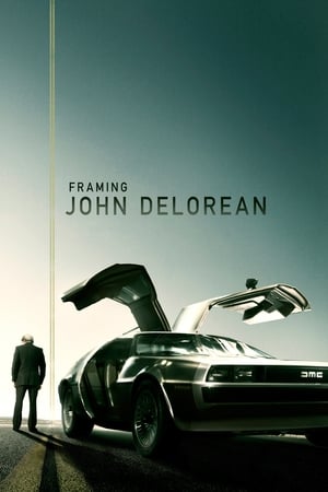 Framing John DeLorean (2019) Hindi Dual Audio BluRay 350MB HD Poster Download - Filmy4waps