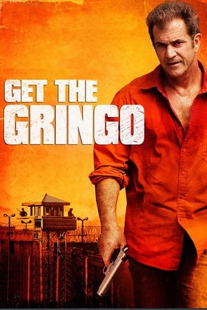 Get the Gringo (2012) Hindi Dual Audio 720p BluRay [850MB] HD Poster Download - Filmy4waps