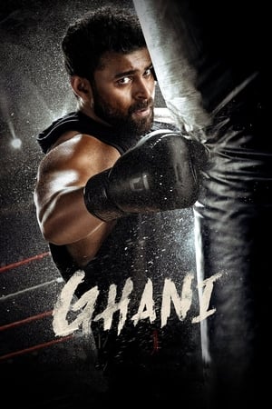 Ghani 2022 Hindi (HQ DUB) HDRip 720p – 480p HD Poster Download - Filmy4waps