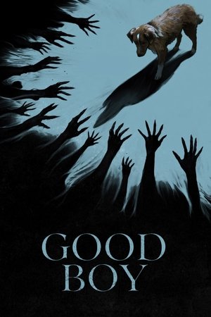 Good Boy (2025) WEBRIP Hindi (MULTI AUDIO) 720p – 480p – 1080p
