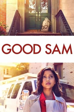 Good Sam 2019 Hindi Dual Audio 720p Web-DL [820MB] HD Poster Download - Filmy4waps