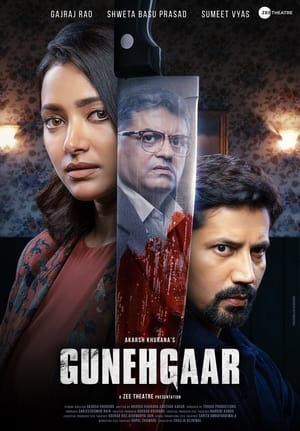 Gunehgaar (2023) Hindi HDRip | 720p | 480p HD Poster Download - Filmy4waps
