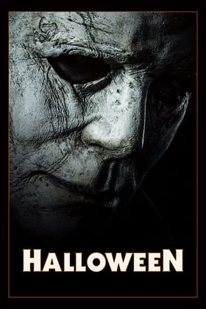 Halloween (2018) Hindi Dual Audio 480p BluRay 330MB HD Poster Download - Filmy4waps