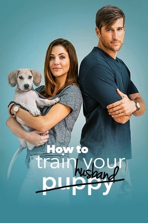 How to Train Your Husband 2018 Hindi Dual Audio 720p BluRay [1GB] HD Poster Download - Filmy4waps