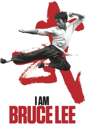 I Am Bruce Lee 2012 300MB Hindi Dual Audio Bluray 480p HD Poster Download - Filmy4waps