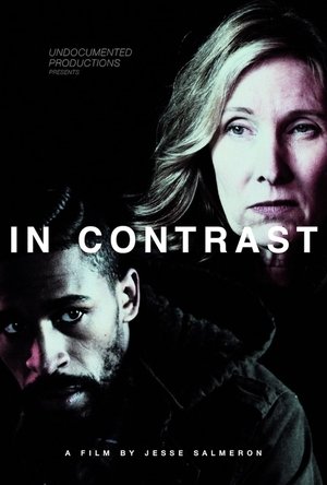 In Contrast (2025) WEBRIP Hindi (MULTI AUDIO) 720p – 480p – 1080p