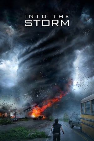 Into the Storm (2014) Hindi Dual Audio 720p BluRay [1GB] HD Poster Download - Filmy4waps