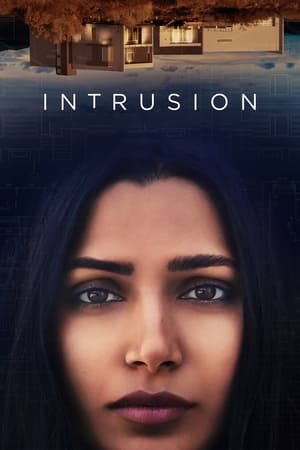 Intrusion (2021) Hindi Dual Audio 720p HDRip [950MB] HD Poster Download - Filmy4waps