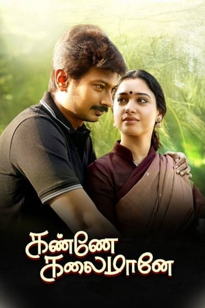 Kanne Kalaimaane 2019 (Hindi - Tamil) Dual Audio 480p UnCut HDRip 450MB HD Poster Download - Filmy4waps
