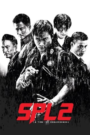 Kill Zone 2 (2015) Hindi Dual Audio 720p BluRay [1.5GB] ESubs HD Poster Download - Filmy4waps