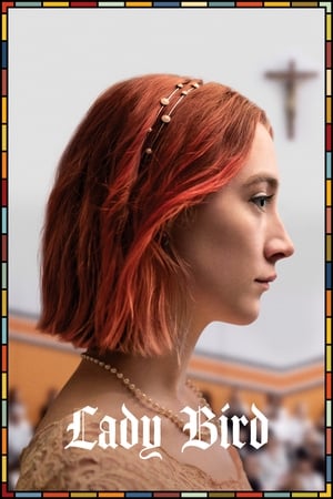 Lady Bird 2017 Hindi Dual Audio 720p BluRay [860MB] HD Poster Download - Filmy4waps