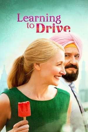 Learning to Drive (2014) Hindi Dual Audio 480p BluRay 300MB HD Poster Download - Filmy4waps
