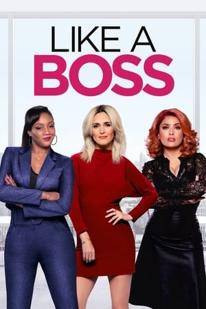 Like a Boss (2020) Hindi Dual Audio 480p Web-DL 300MB HD Poster Download - Filmy4waps