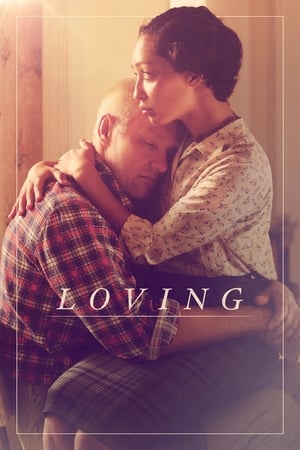 Loving (2016) Hindi Dual Audio 720p BluRay [1.2GB] HD Poster Download - Filmy4waps
